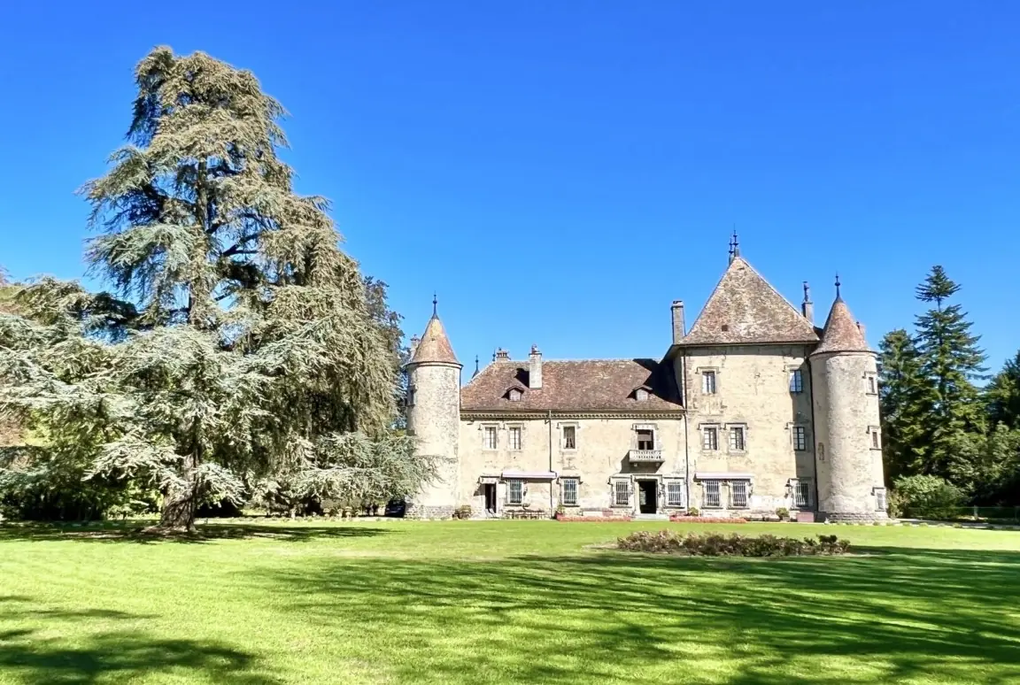 Phase 4: Acquisition Support - Your own chateau